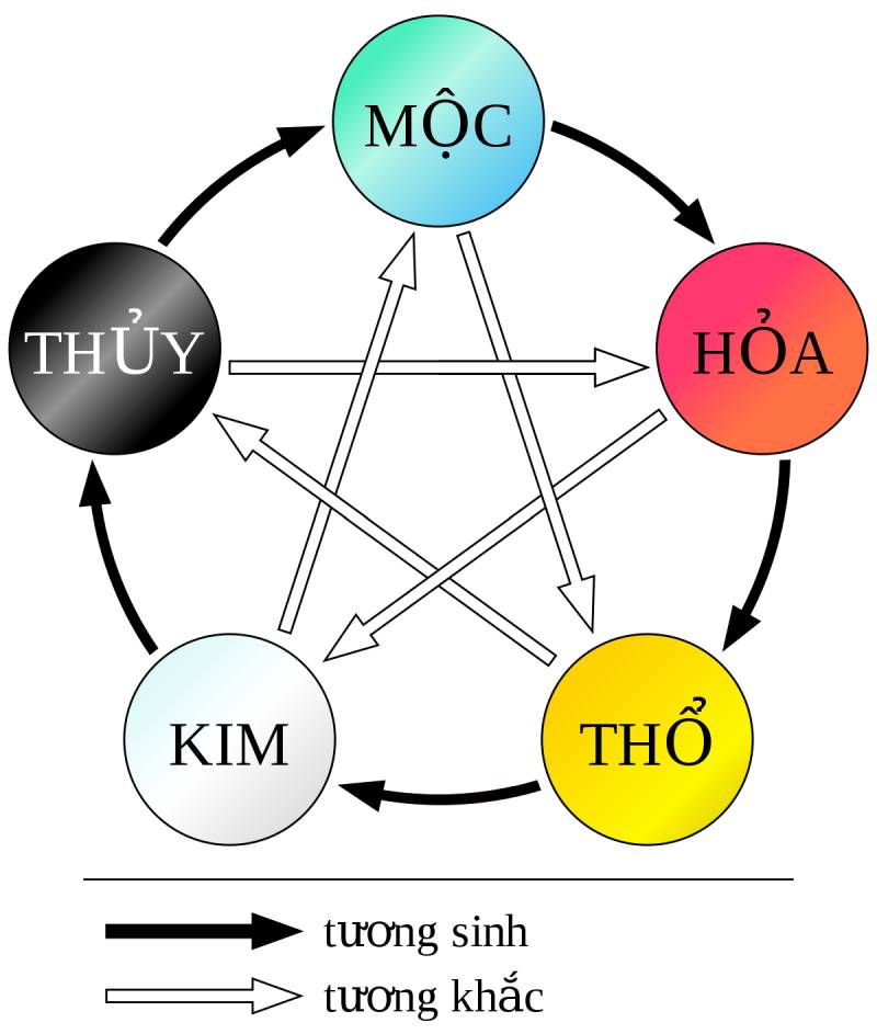Bóng ngũ hành và vòng lặp tương sinh