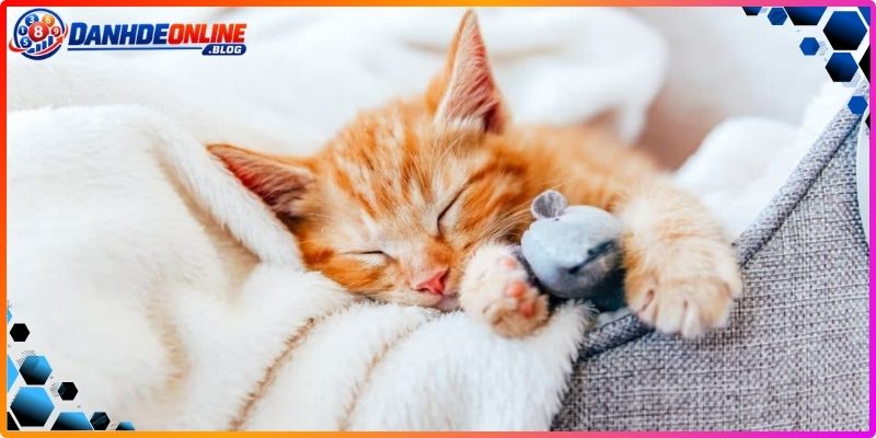 Mơ Thấy Mèo Đánh Con Gì? Giải Mã Chiêm Bao Cực Chuẩn 4 Khám phá các trường hợp mộng mị về loài tiểu hổ khác