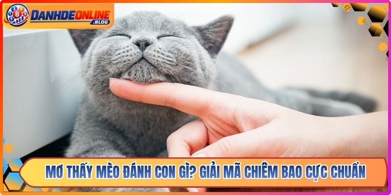 Mơ Thấy Mèo Đánh Con Gì? Giải Mã Chiêm Bao Cực Chuẩn 8 Mơ Thấy Mèo Đánh Con Gì? Giải Mã Chiêm Bao Cực Chuẩn